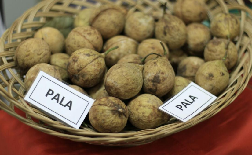 Pala Menjadi Salah Satu Bumbu Untuk Hampir Semua Makanan Global