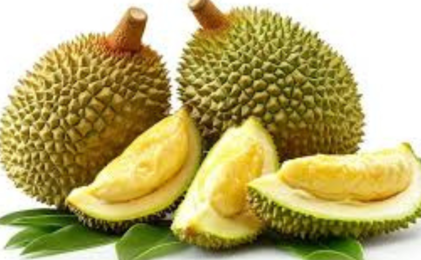 4 Fakta Seru Tentang Durian ‘Tai Babi’ yang Pasti Bikin Anda Tergoda