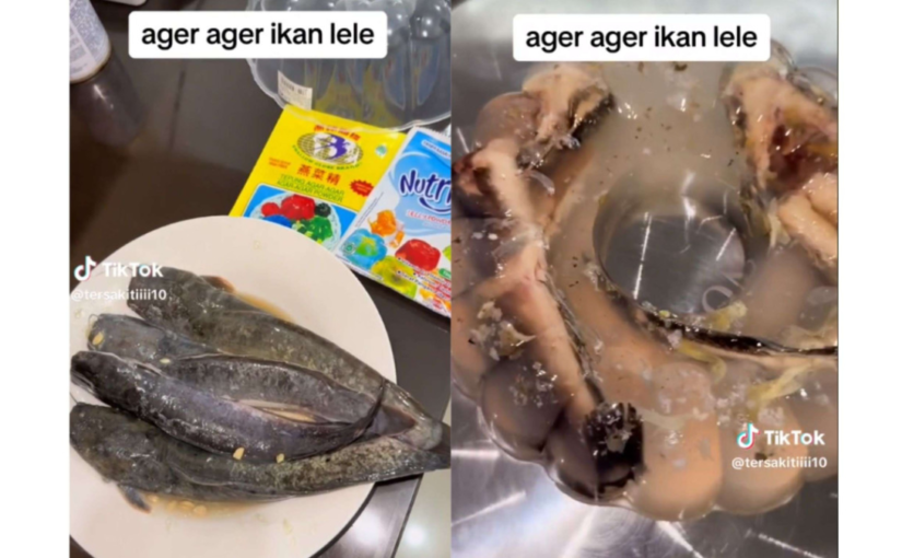 Bukan untuk yang Lemah! 5 Kreasi Puding dan Agar-Agar yang Bikin Bergidik